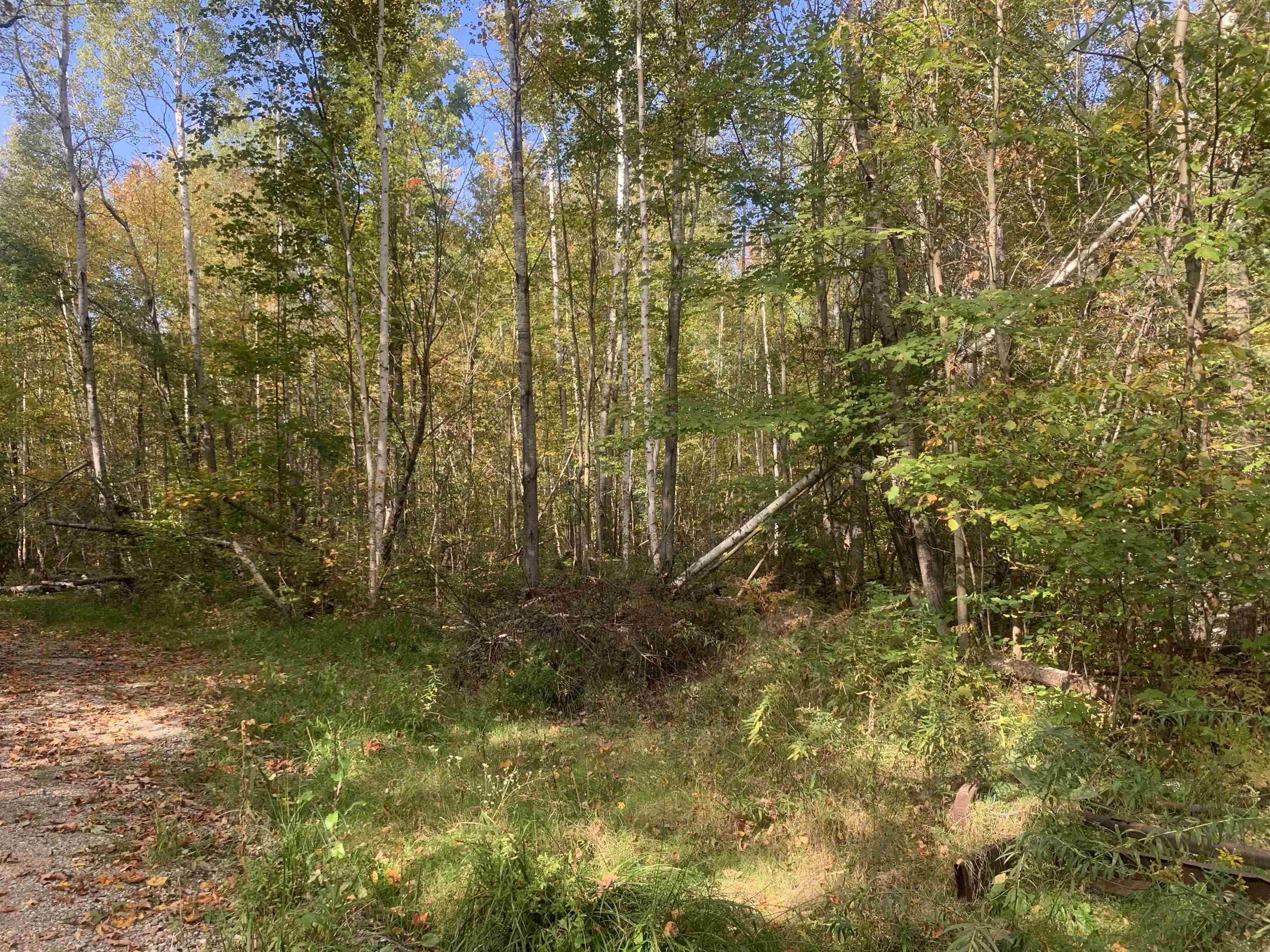 Photo 3 of Land for sale at E W Branch Rd, Saint Helen, MI 48656 | MLS# 50224053 | Listing updated on 2026-10-07