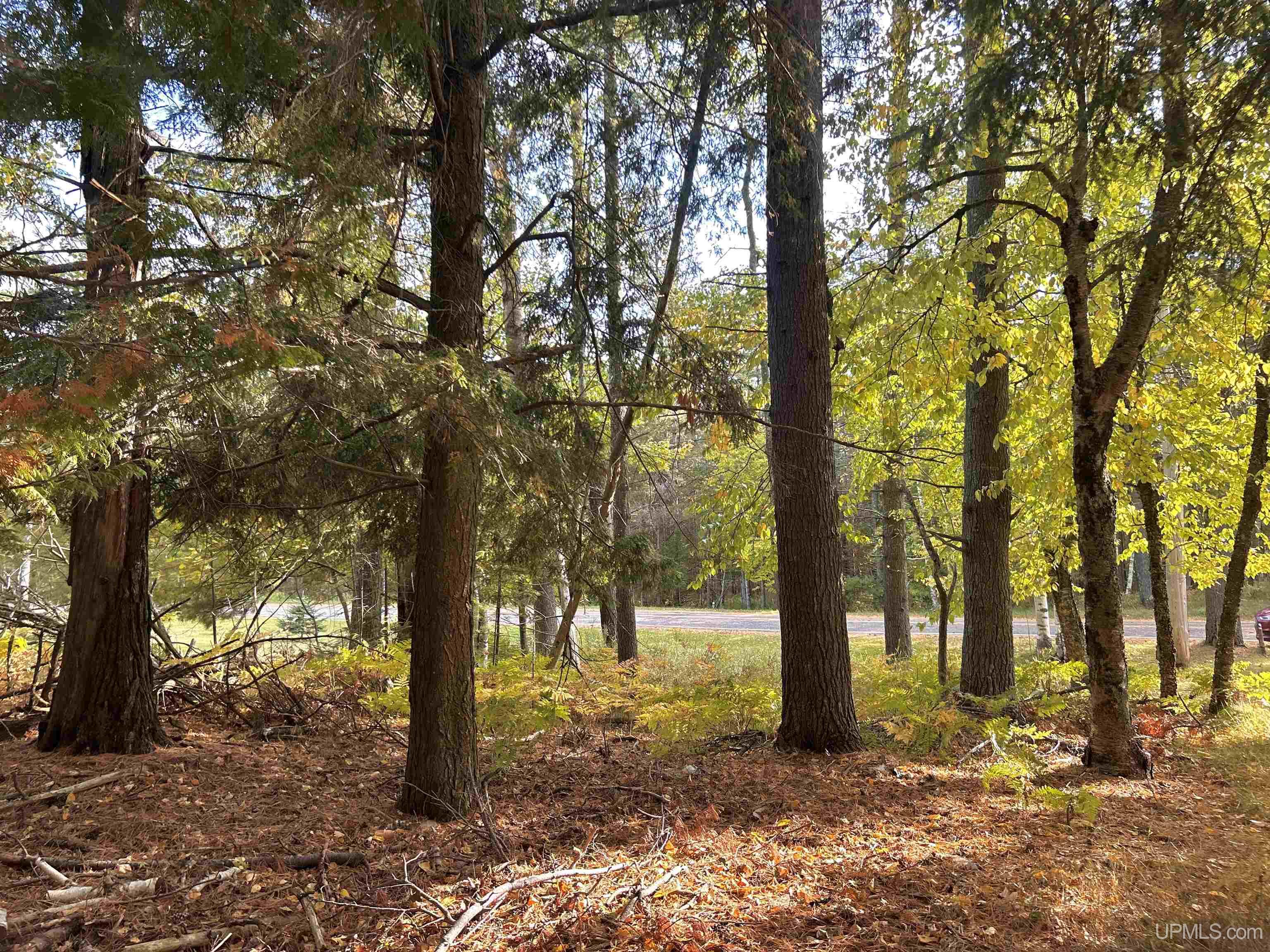 Photo 2 of Land for sale at Tbd W Gulliver Lake Rd, Gulliver, MI 49840 | MLS# 50224095 | Listing updated on 2026-10-07