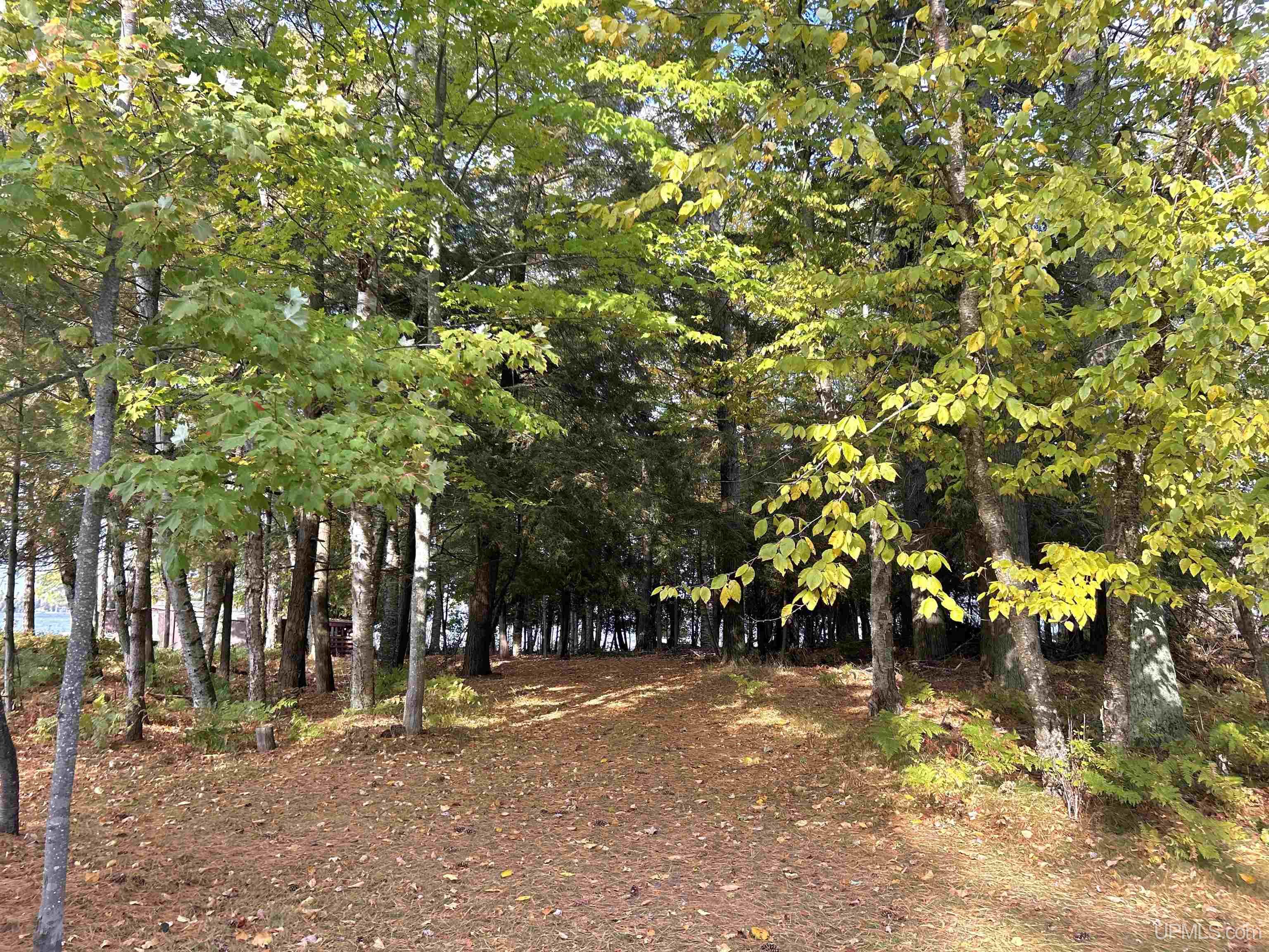 Photo 4 of Land for sale at Tbd W Gulliver Lake Rd, Gulliver, MI 49840 | MLS# 50224095 | Listing updated on 2026-10-07