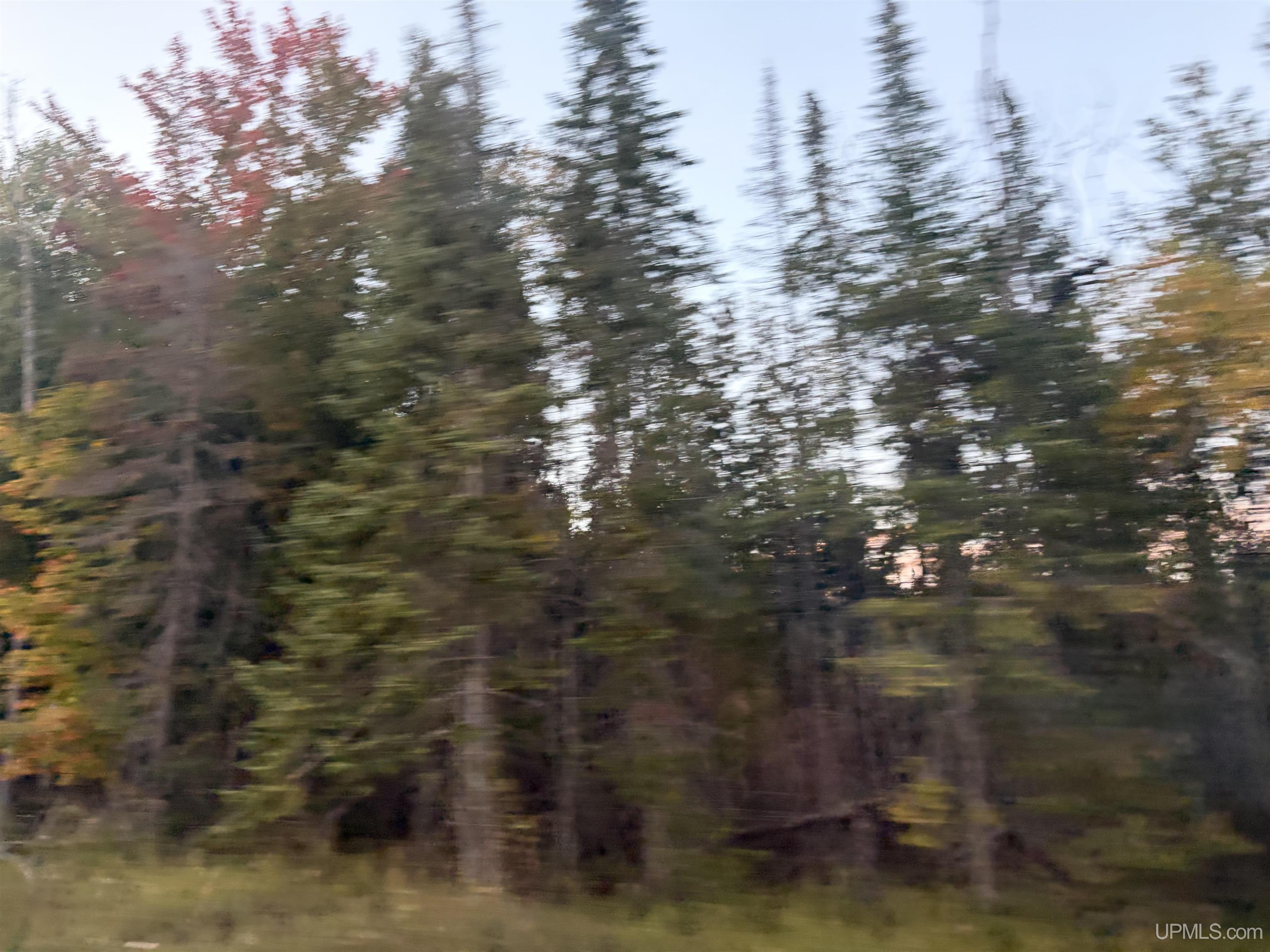Land for sale at Tbd W Quarry Rd, Gulliver, MI 49840 | MLS# 50224162