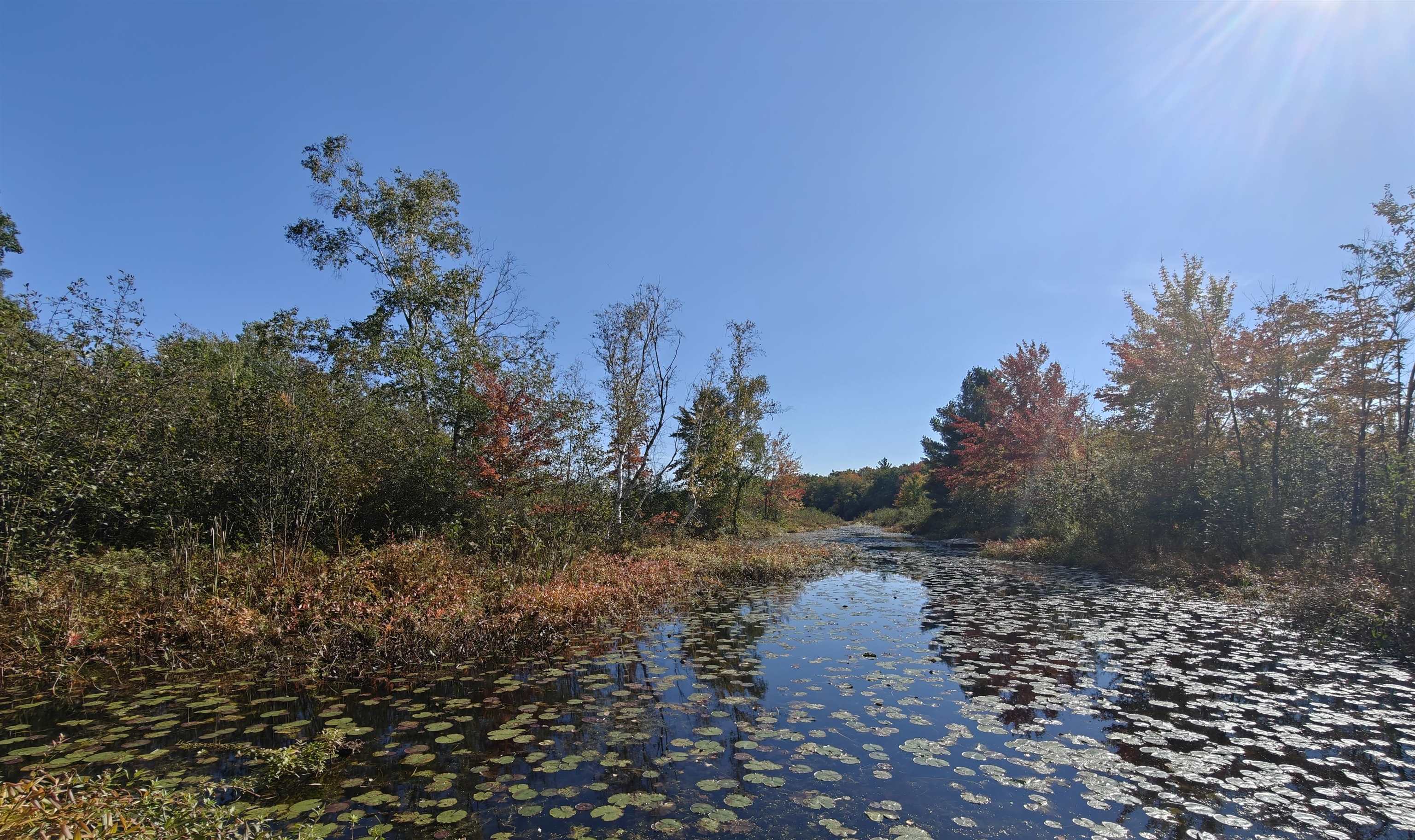 Photo 2 of Land for sale at 134-1 Oak St, Lake, MI 48632 | MLS# 50224178 | Listing updated on 2026-10-07