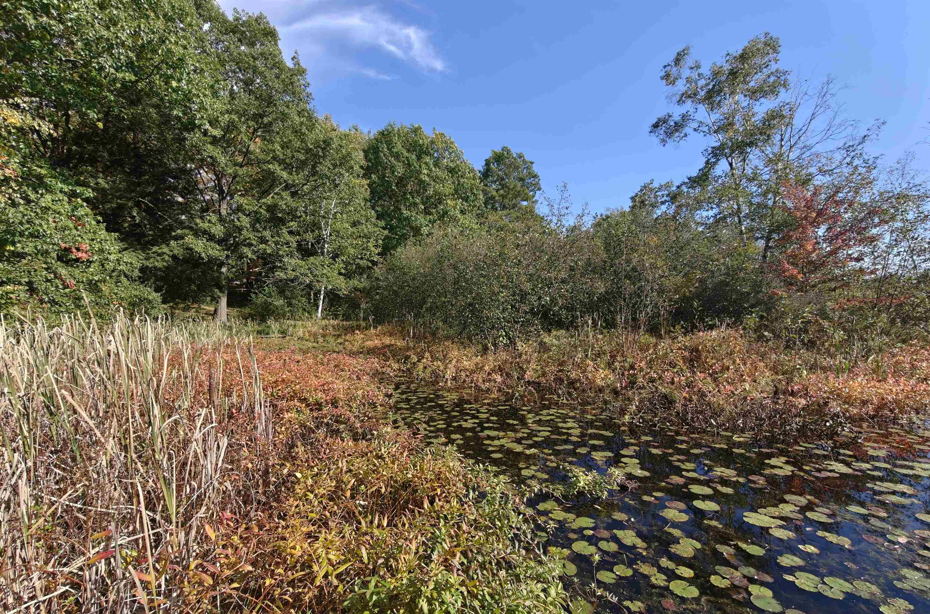 Photo 3 of Land for sale at 134-1 Oak St, Lake, MI 48632 | MLS# 50224178 | Listing updated on 2026-10-07