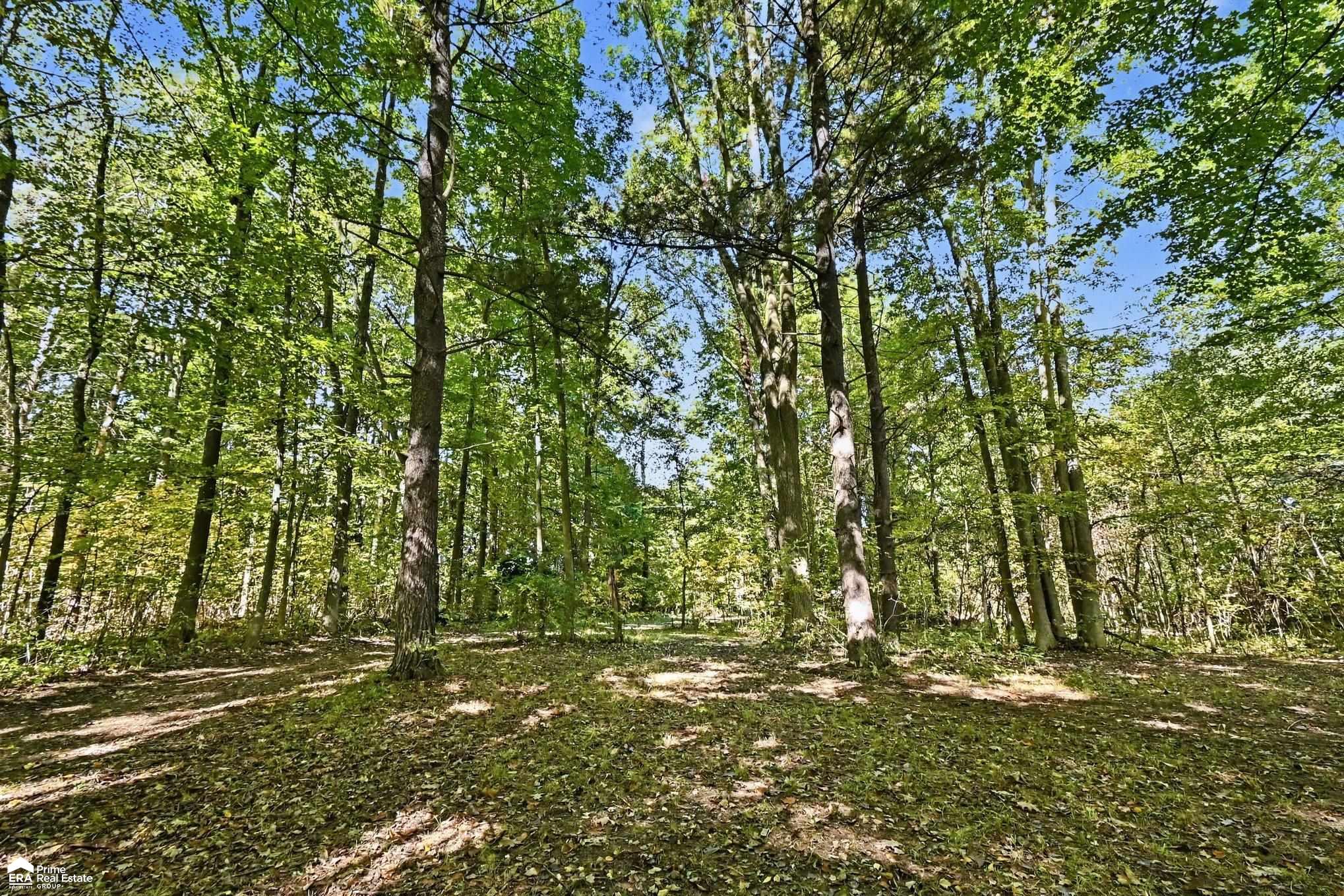 831 N Lake Pleasant Road photo 5