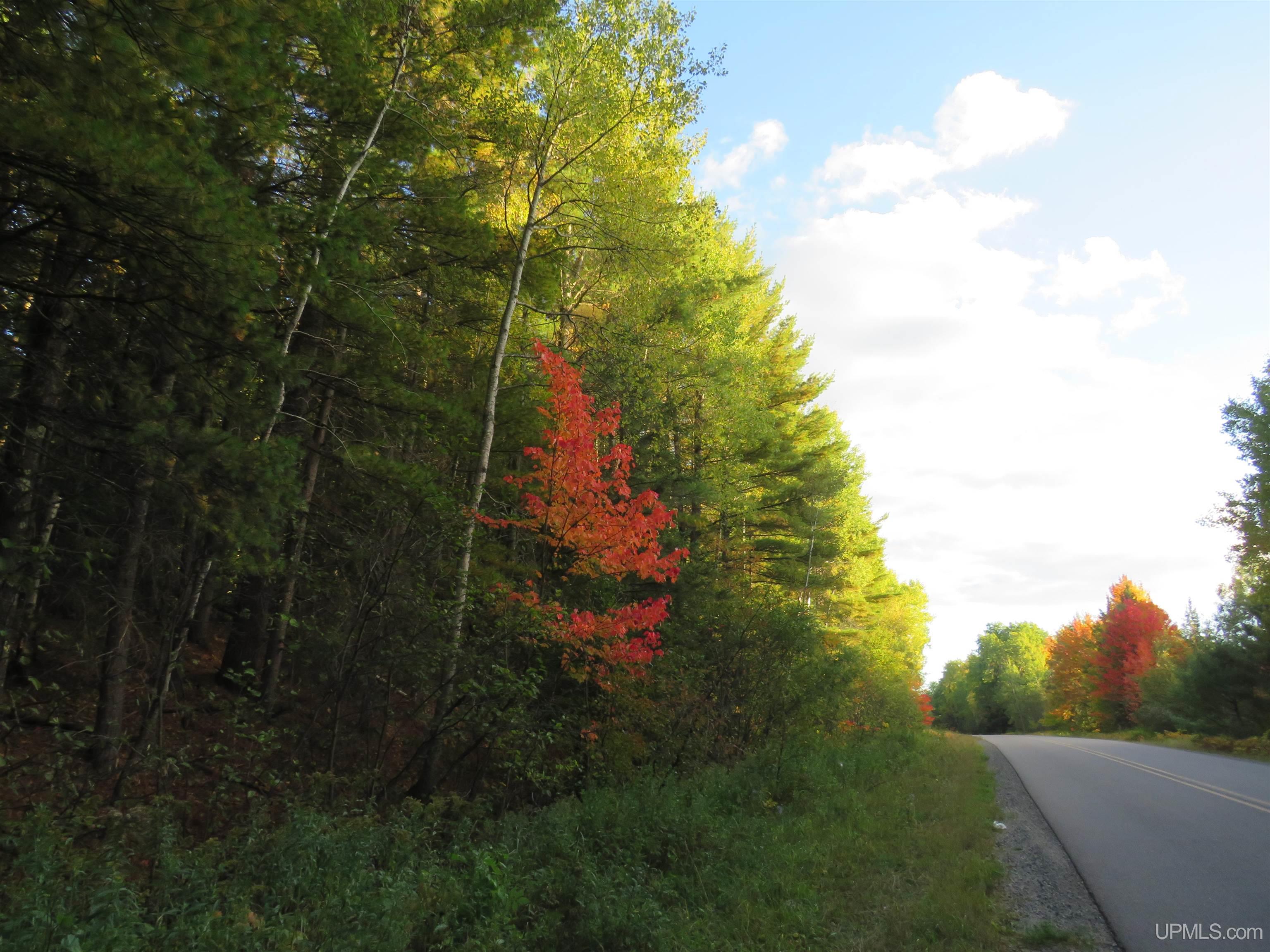 Photo 1 of Sale Pending at 11890 Park City Rd, Republic, MI 49879 | MLS# 50224876 | Listing updated on 2026-10-18
