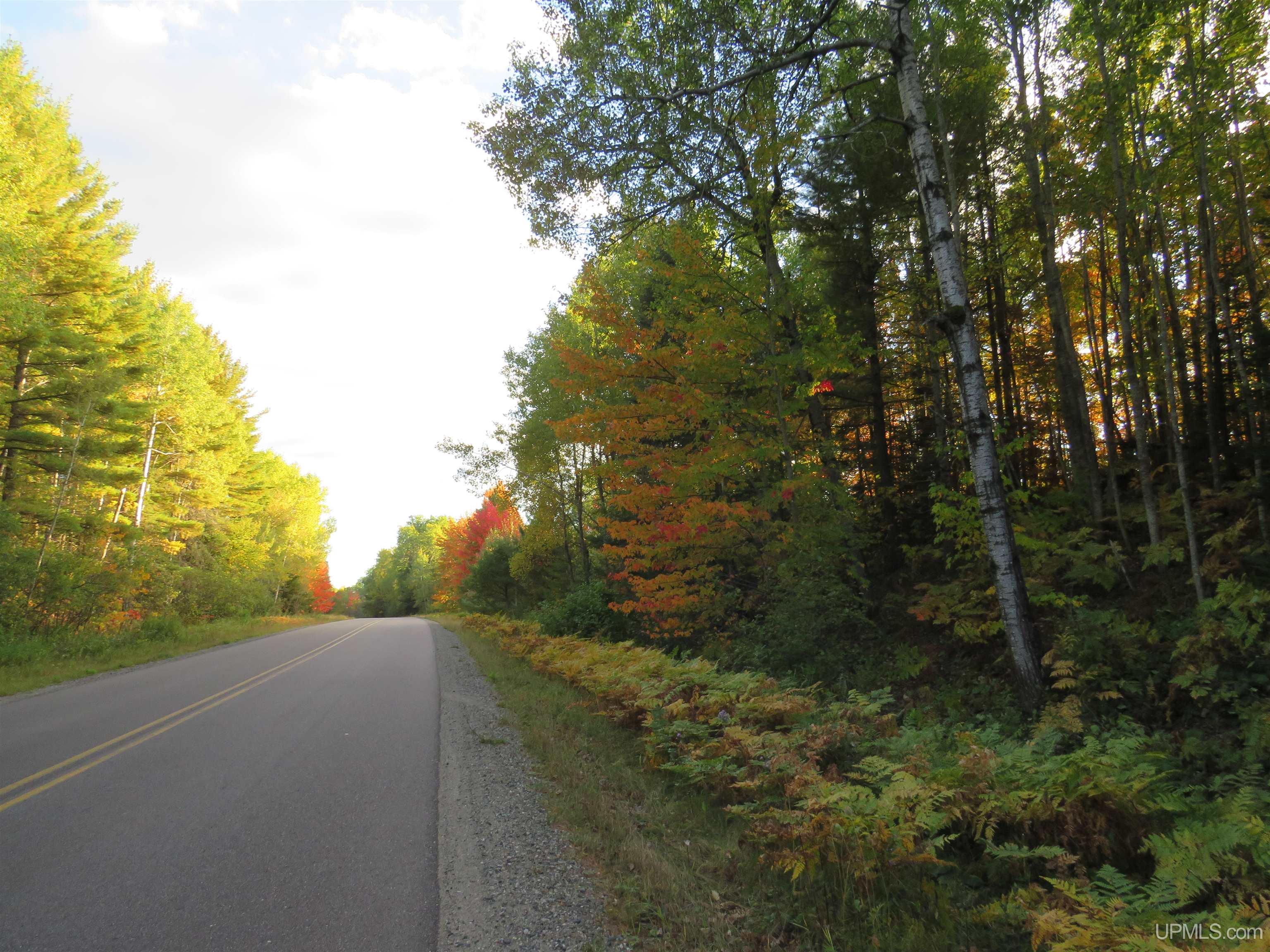 Photo 2 of Sale Pending at 11890 Park City Rd, Republic, MI 49879 | MLS# 50224876 | Listing updated on 2026-10-18