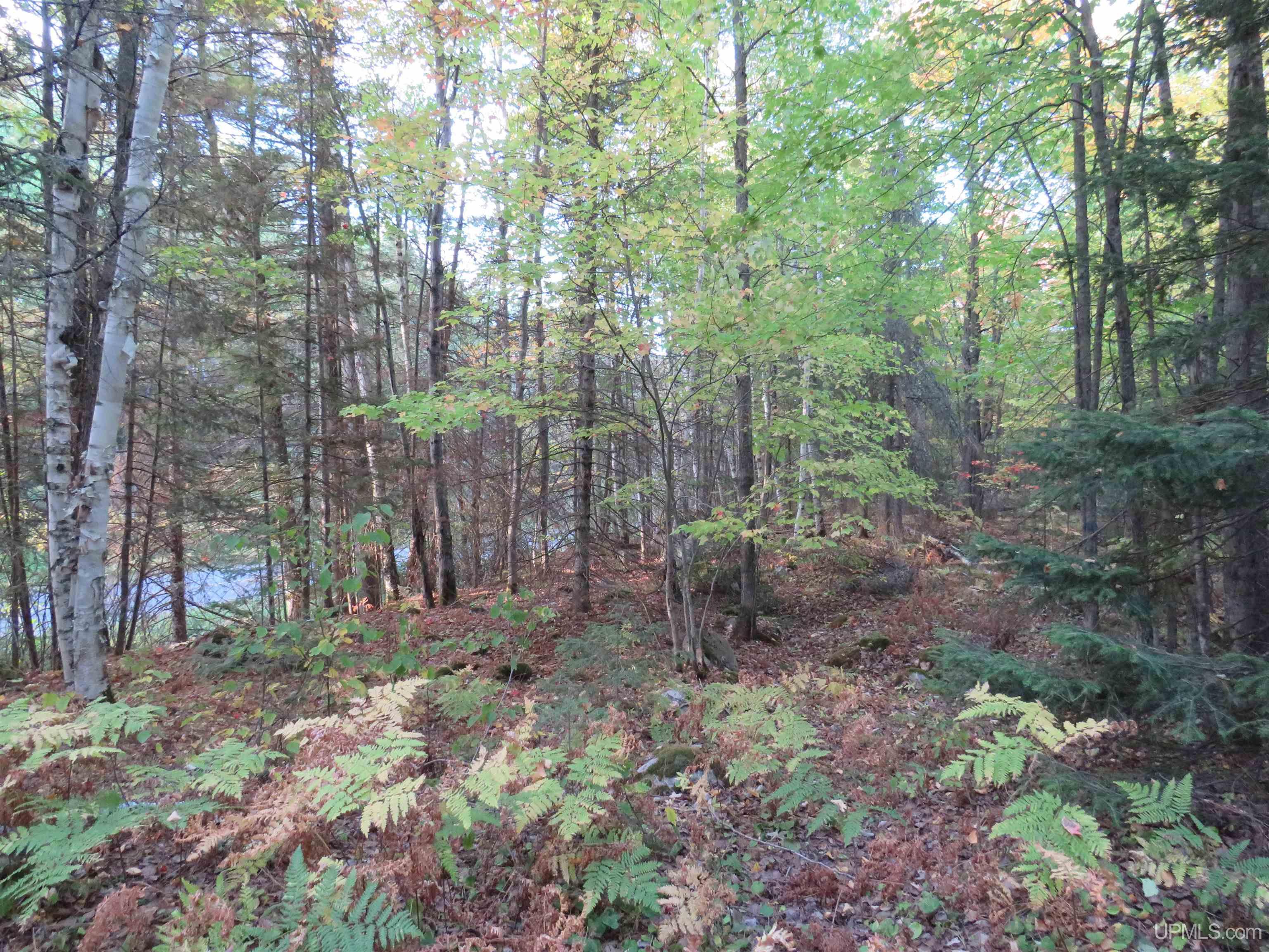 Photo 3 of Sale Pending at 11890 Park City Rd, Republic, MI 49879 | MLS# 50224876 | Listing updated on 2026-10-18