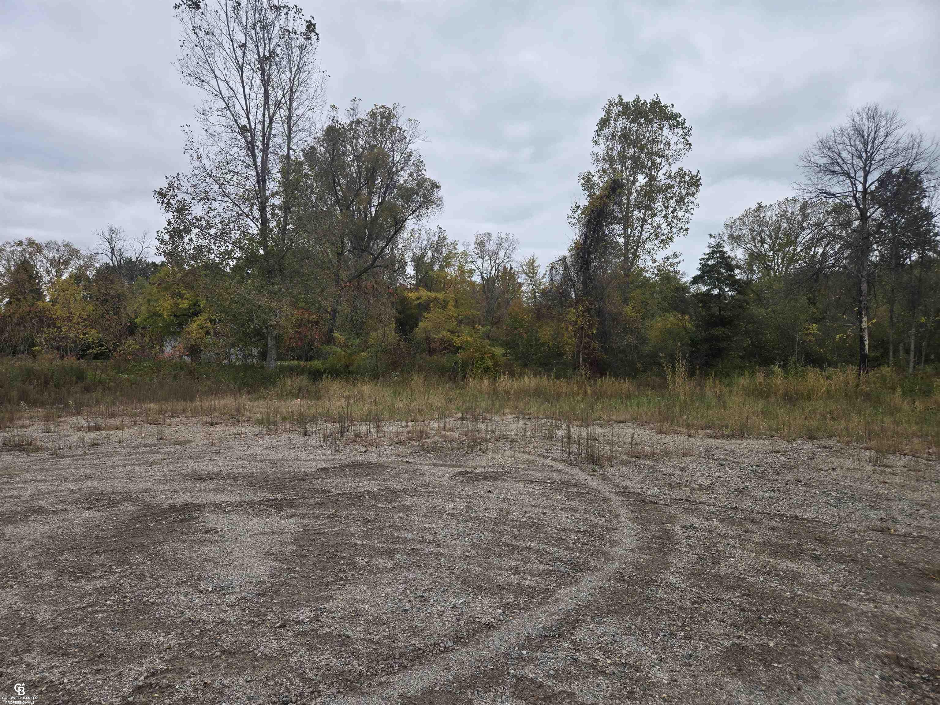 Photo 4 of Land for sale at 00 Michigan Vl Rd, Port Huron Charter Township St Clair, MI 48006 | MLS# 58050225260 | Listing updated on 2026-10-19