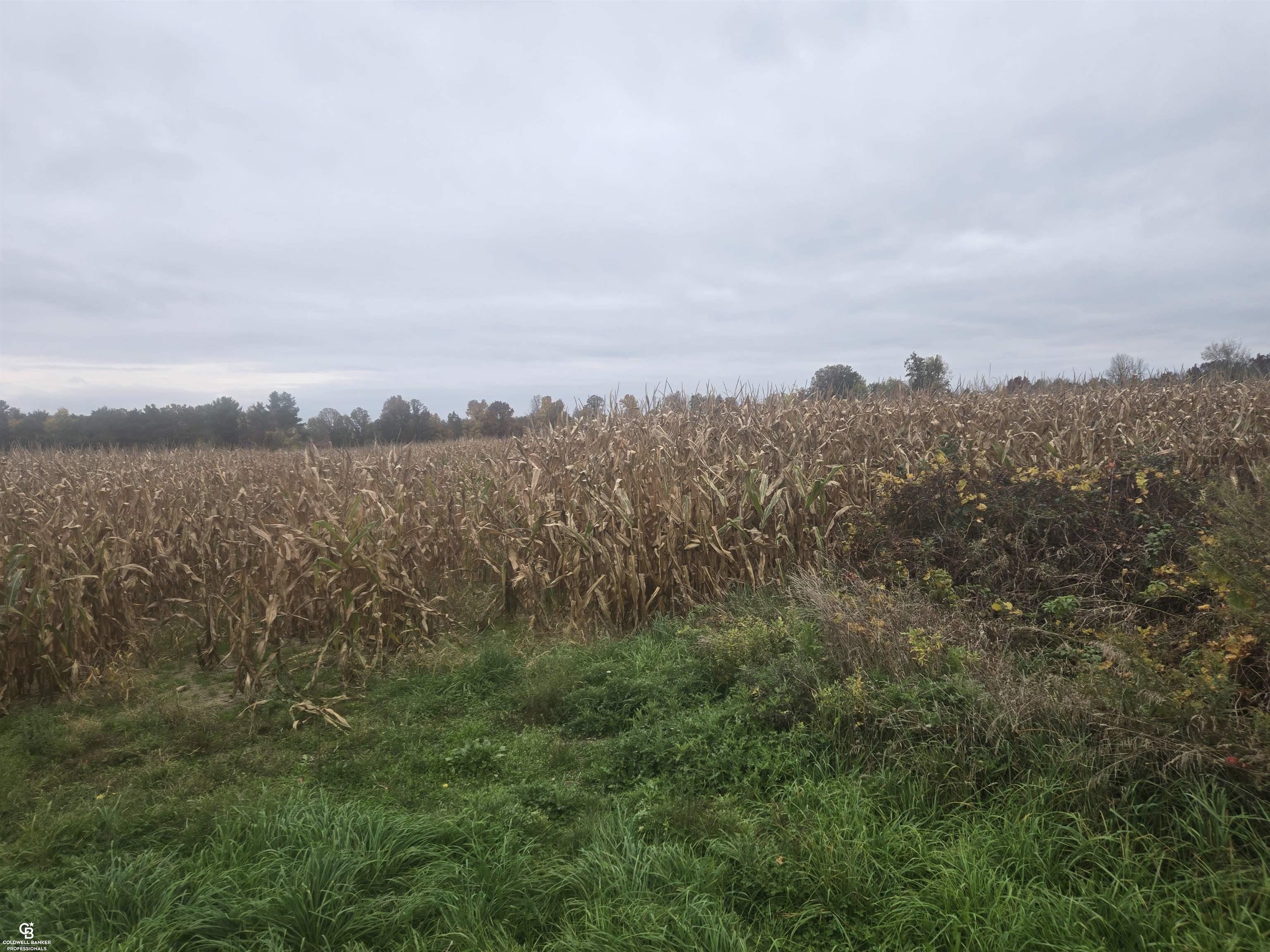 Photo 1 of Land for sale at 00 Brown Vl Rd, Kenockee Township St Clair, MI 48006 | MLS# 58050225261 | Listing updated on 2026-10-19