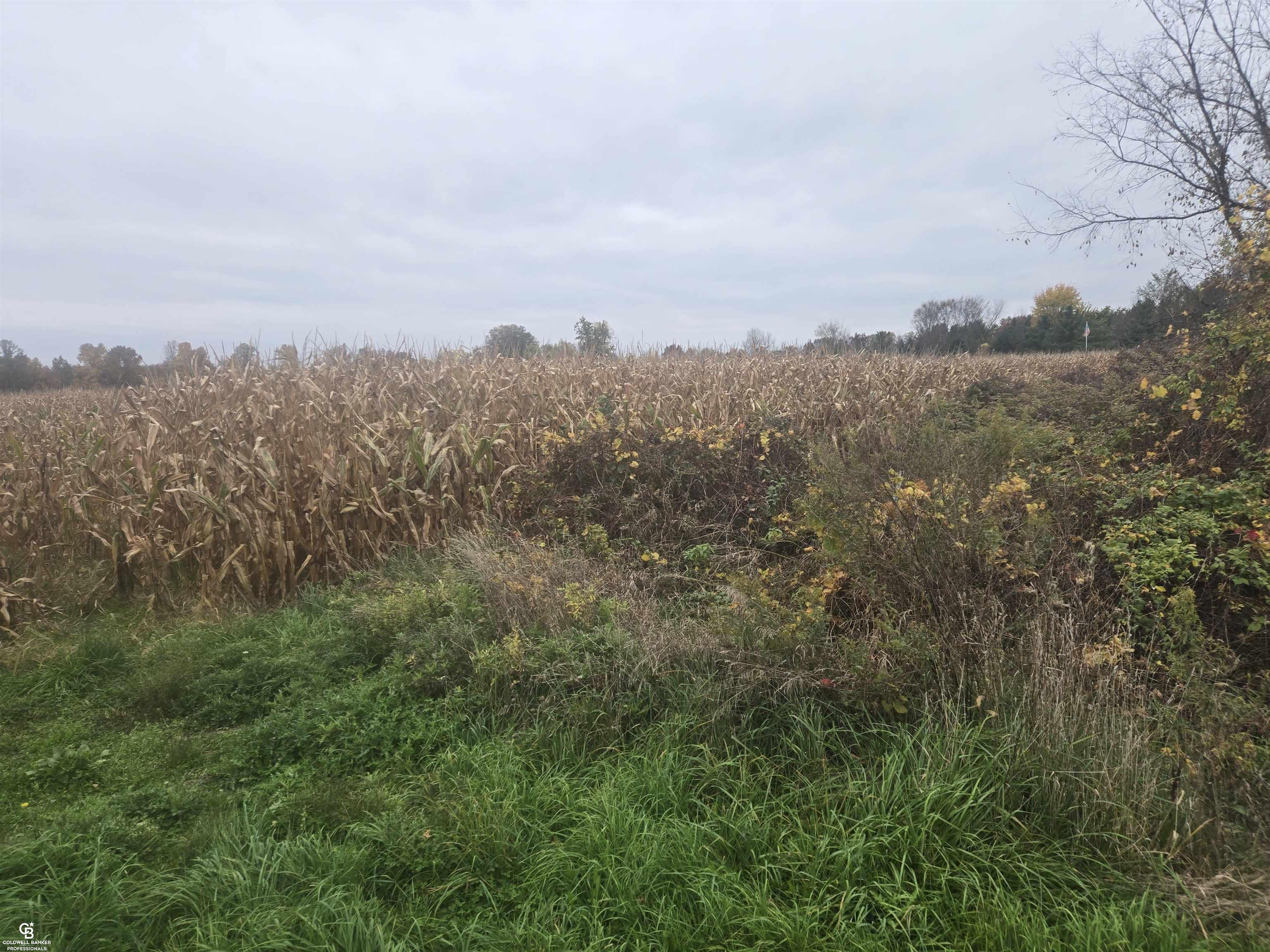 Photo 2 of Land for sale at 00 Brown Vl Rd, Kenockee Township St Clair, MI 48006 | MLS# 58050225261 | Listing updated on 2026-10-19