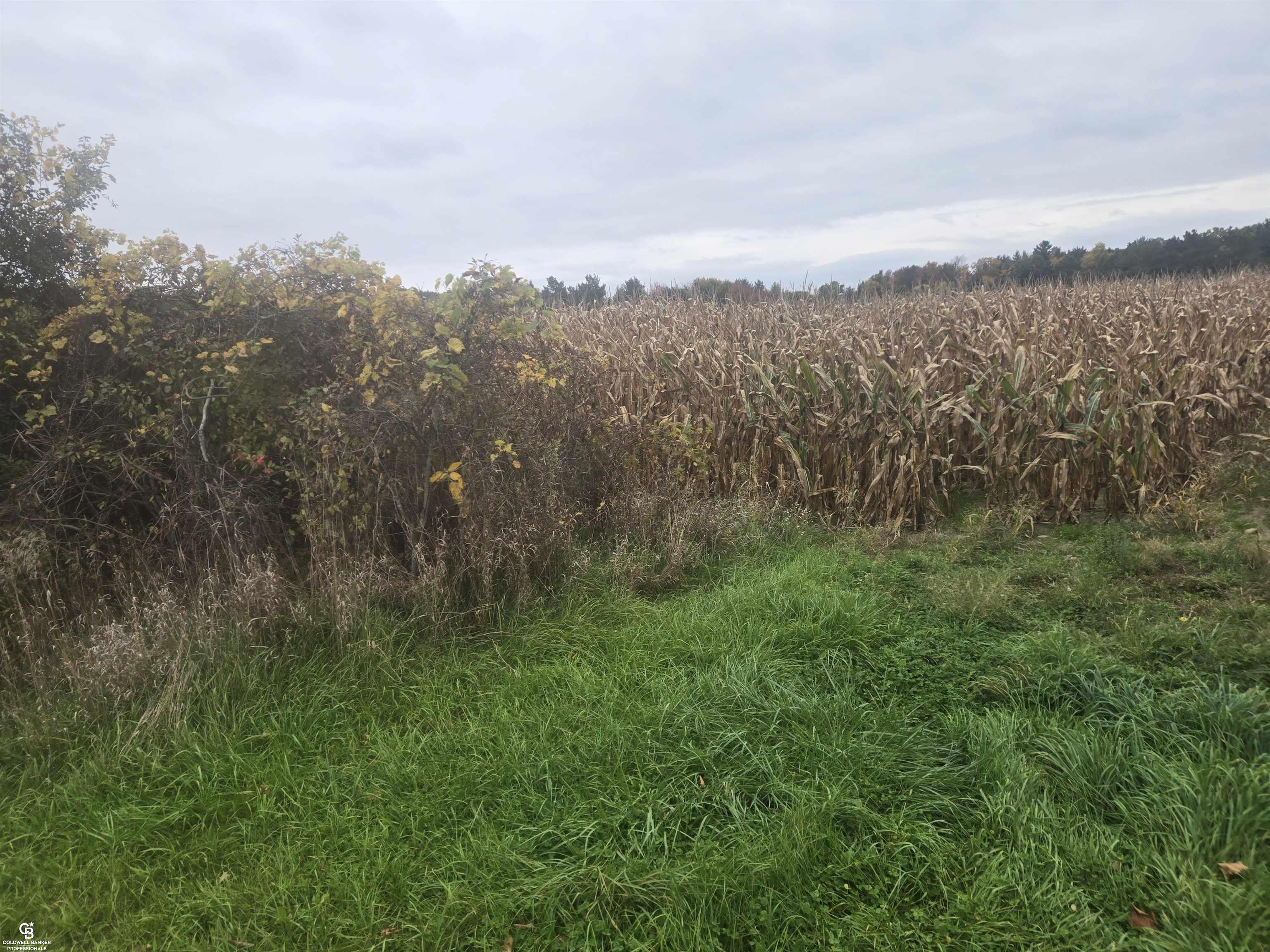 Photo 3 of Land for sale at 00 Brown Vl Rd, Kenockee Township St Clair, MI 48006 | MLS# 58050225261 | Listing updated on 2026-10-19