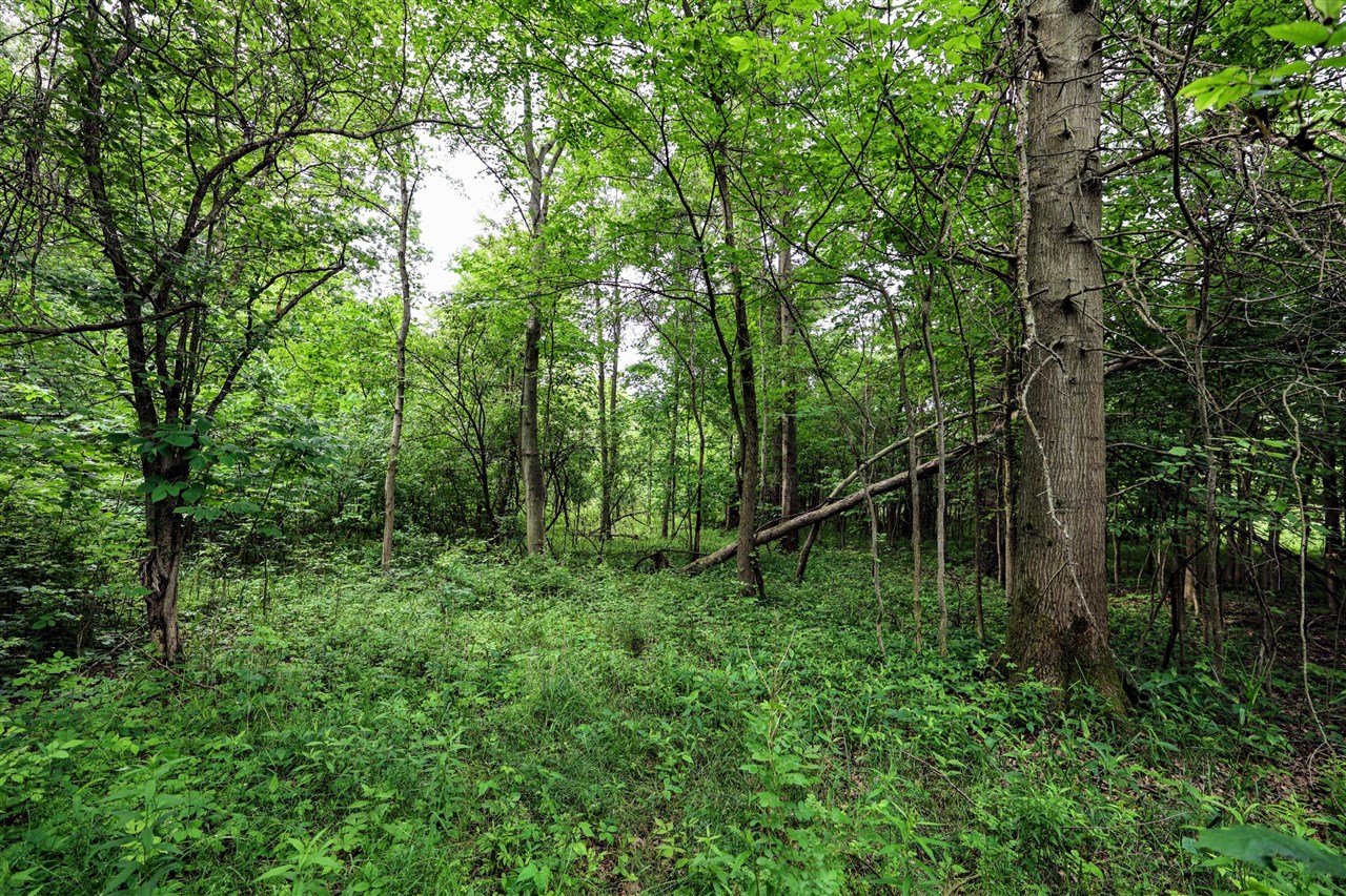 S Crawford Road, Mount Pleasant, MI, 48858