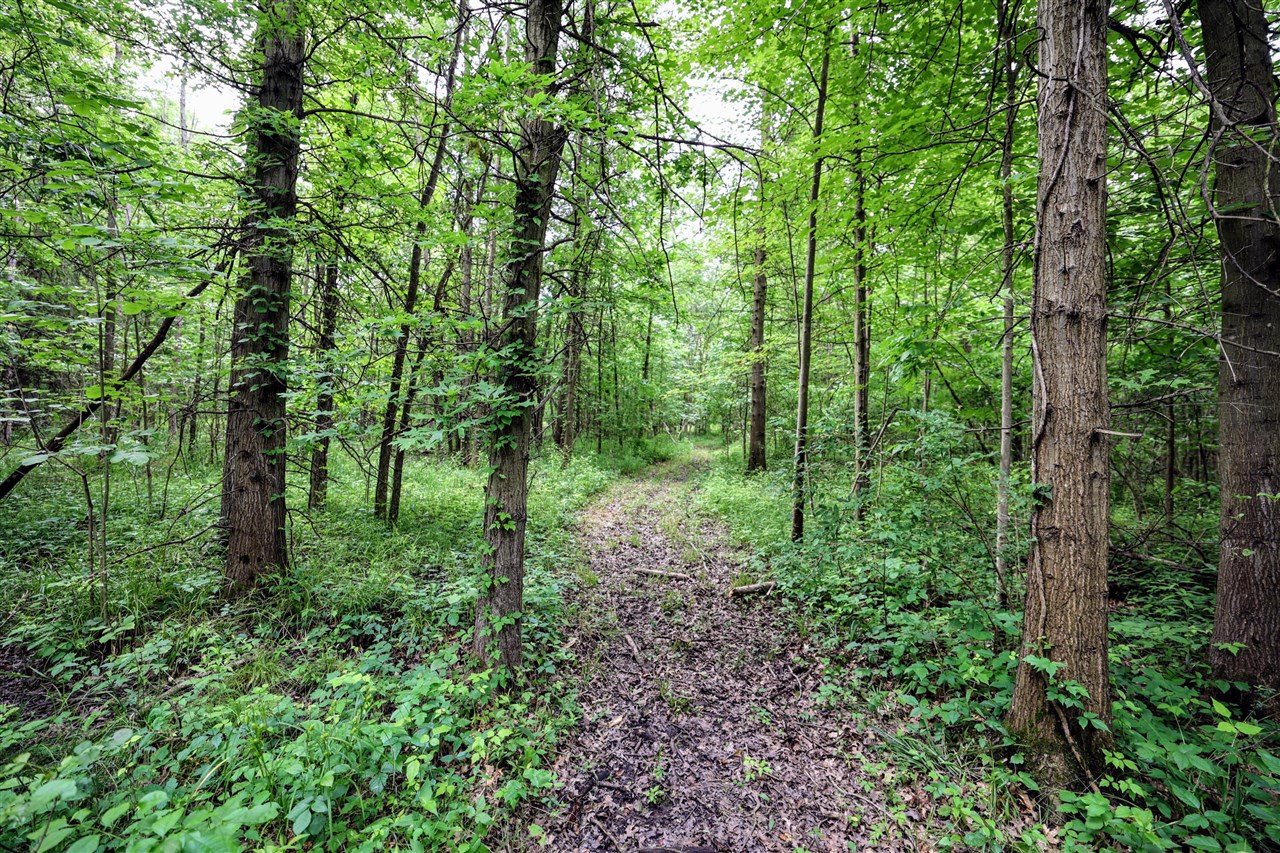 27015 50th St, Bangor, MI, 49013