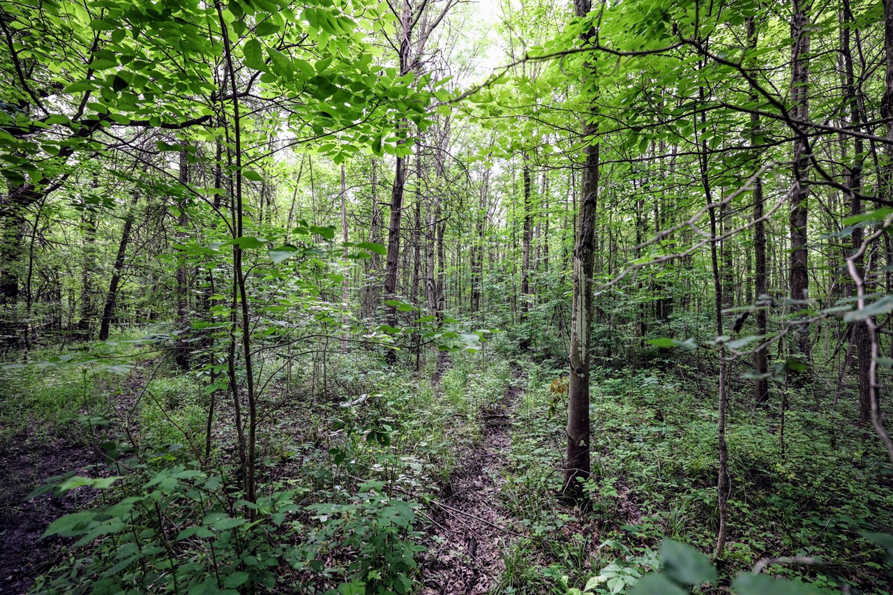 27015 50th St, Bangor, MI, 49013