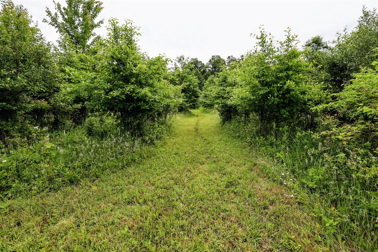 27015 50th St, Bangor, MI, 49013