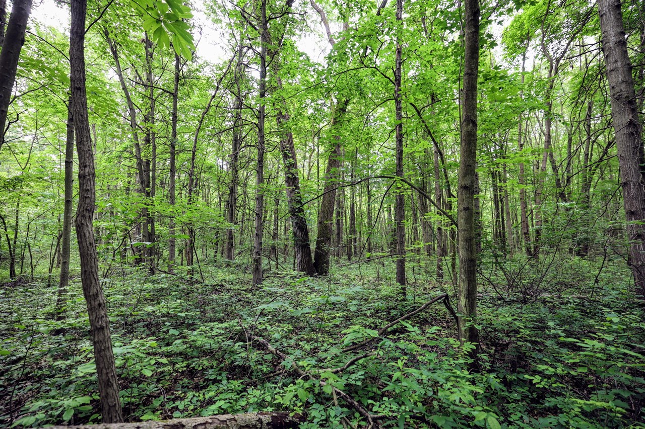 27015 50th St, Bangor, MI, 49013