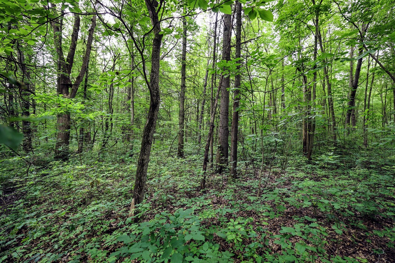 27015 50th St, Bangor, MI, 49013