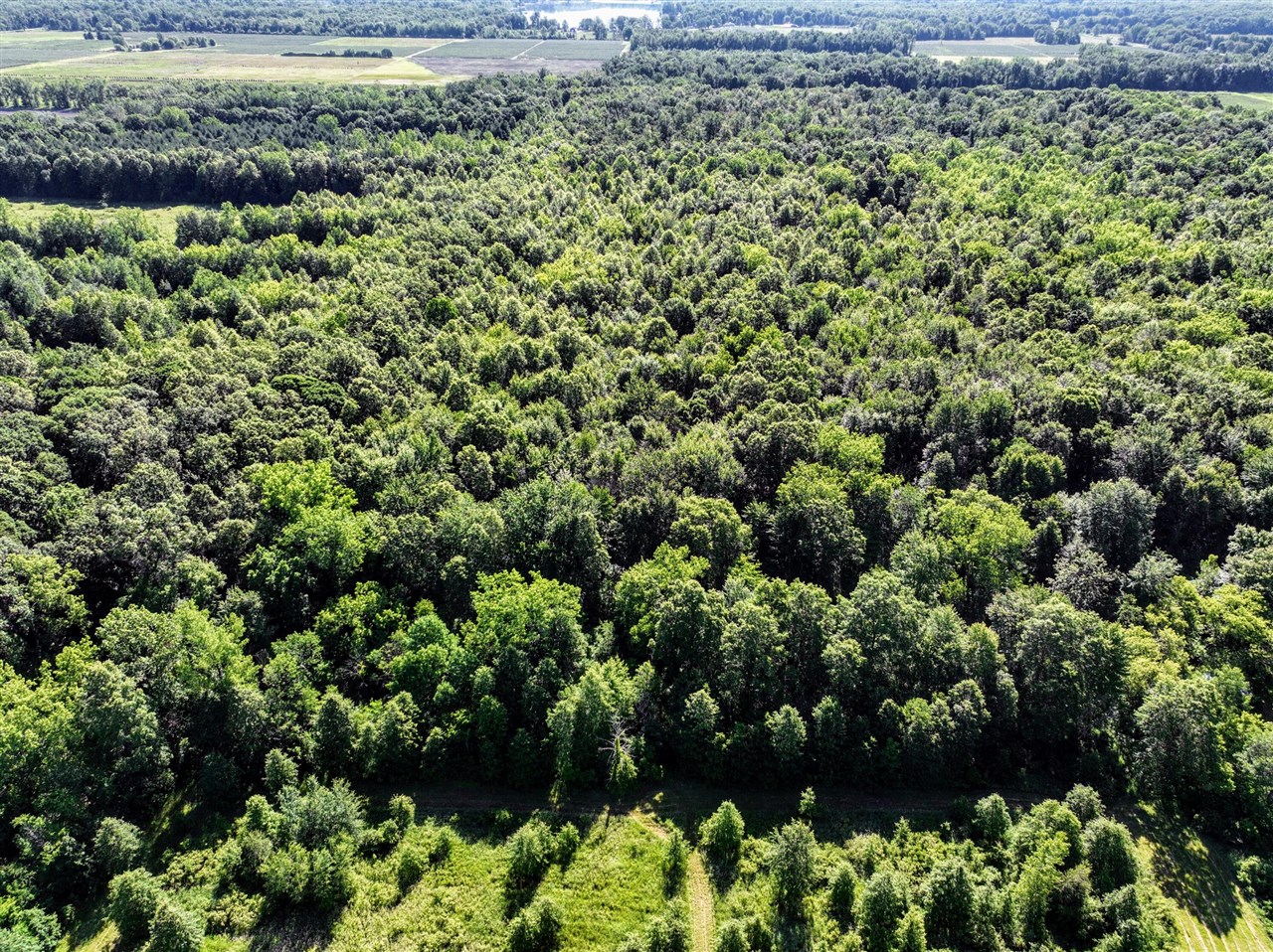 27015 50th St, Bangor, MI, 49013