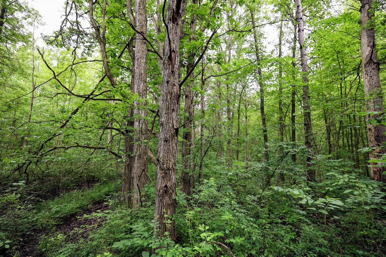 27015 50th St, Bangor, MI, 49013