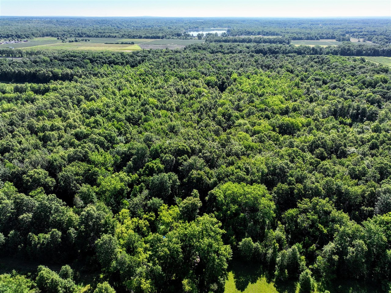 27015 50th St, Bangor, MI, 49013