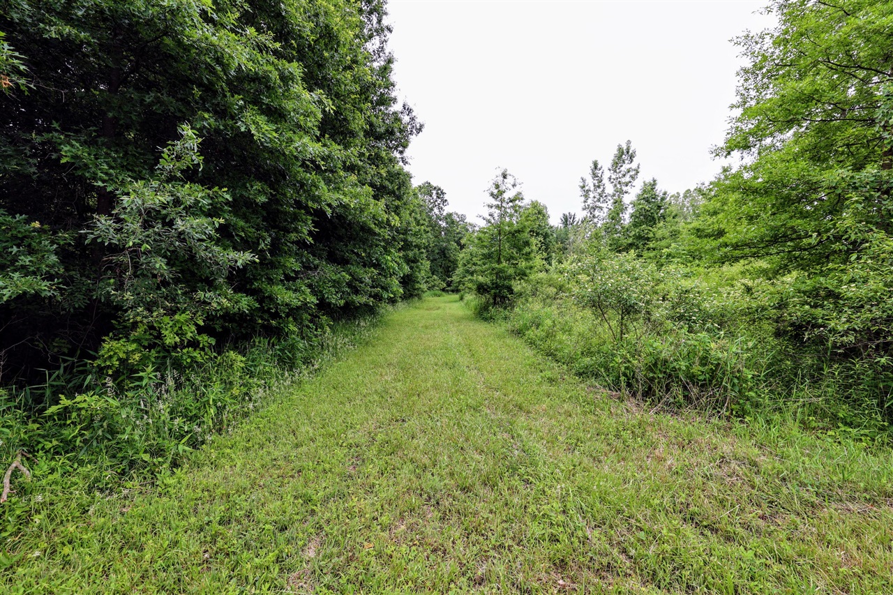 27015 50th St, Bangor, MI, 49013