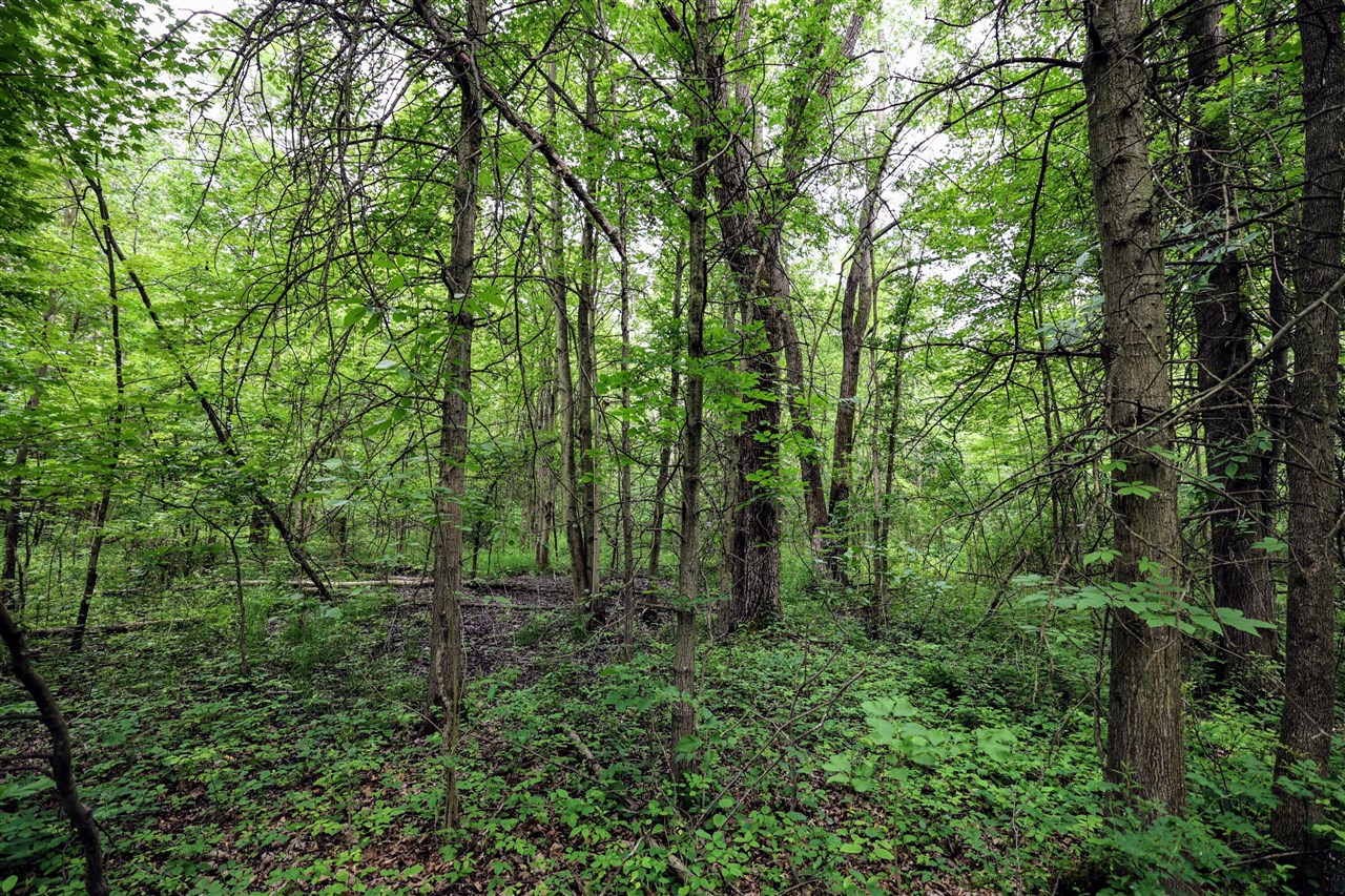 27015 50th St, Bangor, MI, 49013