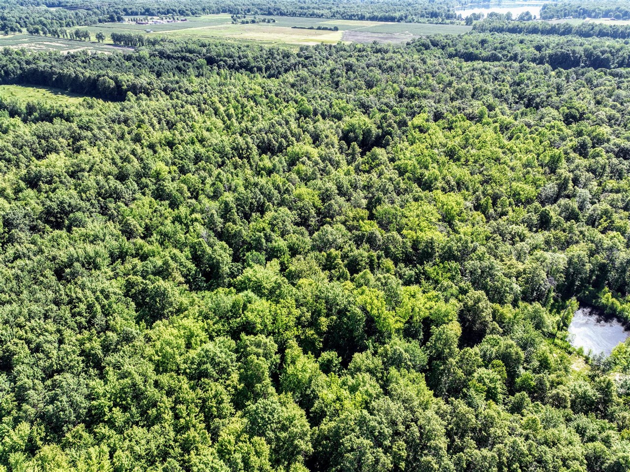 27015 50th St, Bangor, MI, 49013