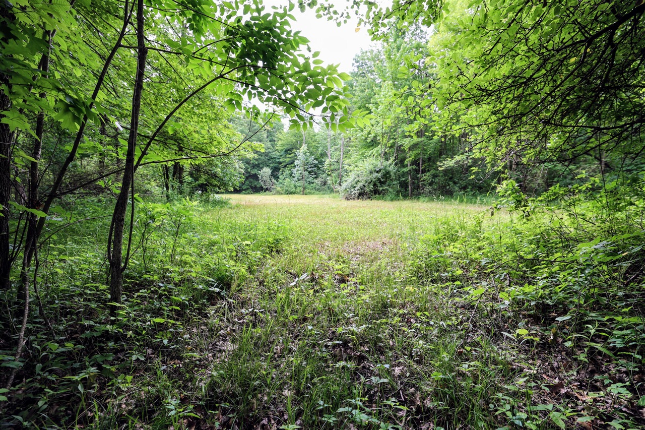 27015 50th St, Bangor, MI, 49013