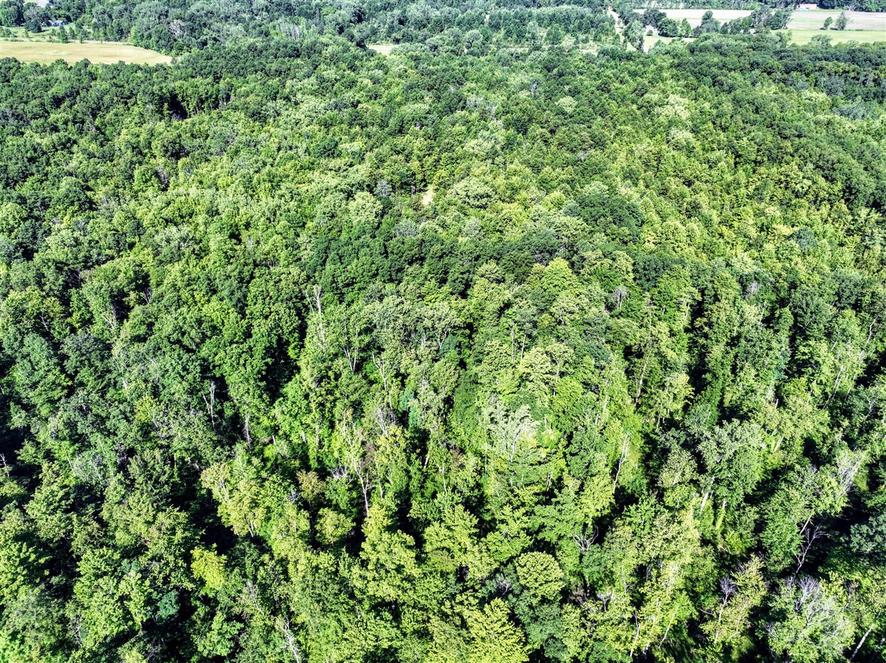 27015 50th St, Bangor, MI, 49013