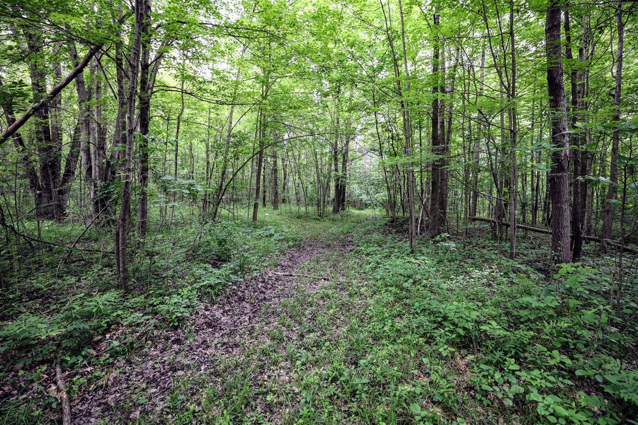 27015 50th St, Bangor, MI, 49013