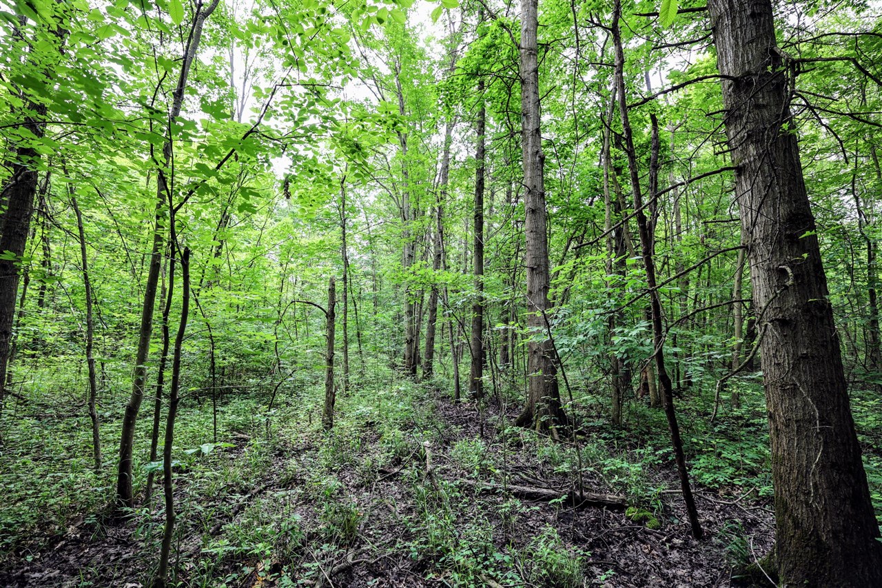 27015 50th St, Bangor, MI, 49013