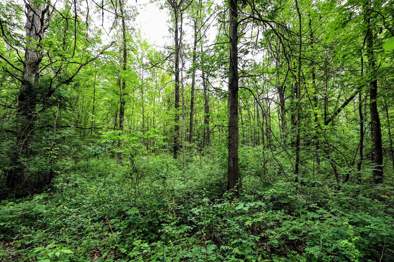 27015 50th St, Bangor, MI, 49013