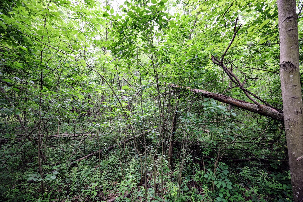 27015 50th St, Bangor, MI, 49013