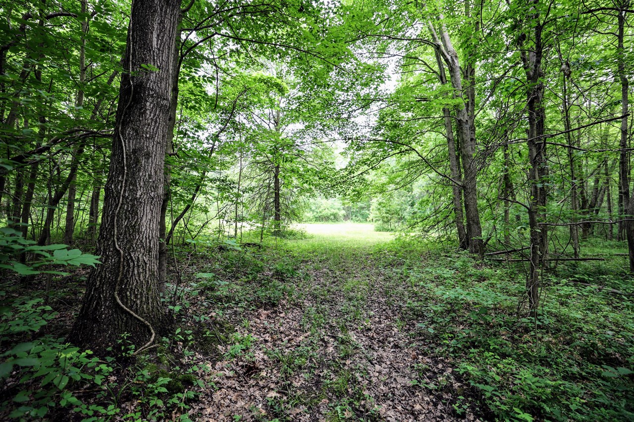 27015 50th St, Bangor, MI, 49013