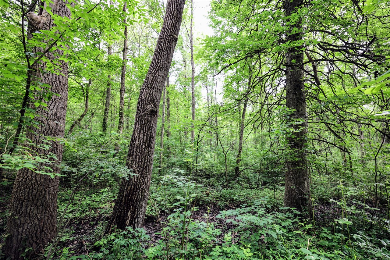 27015 50th St, Bangor, MI, 49013