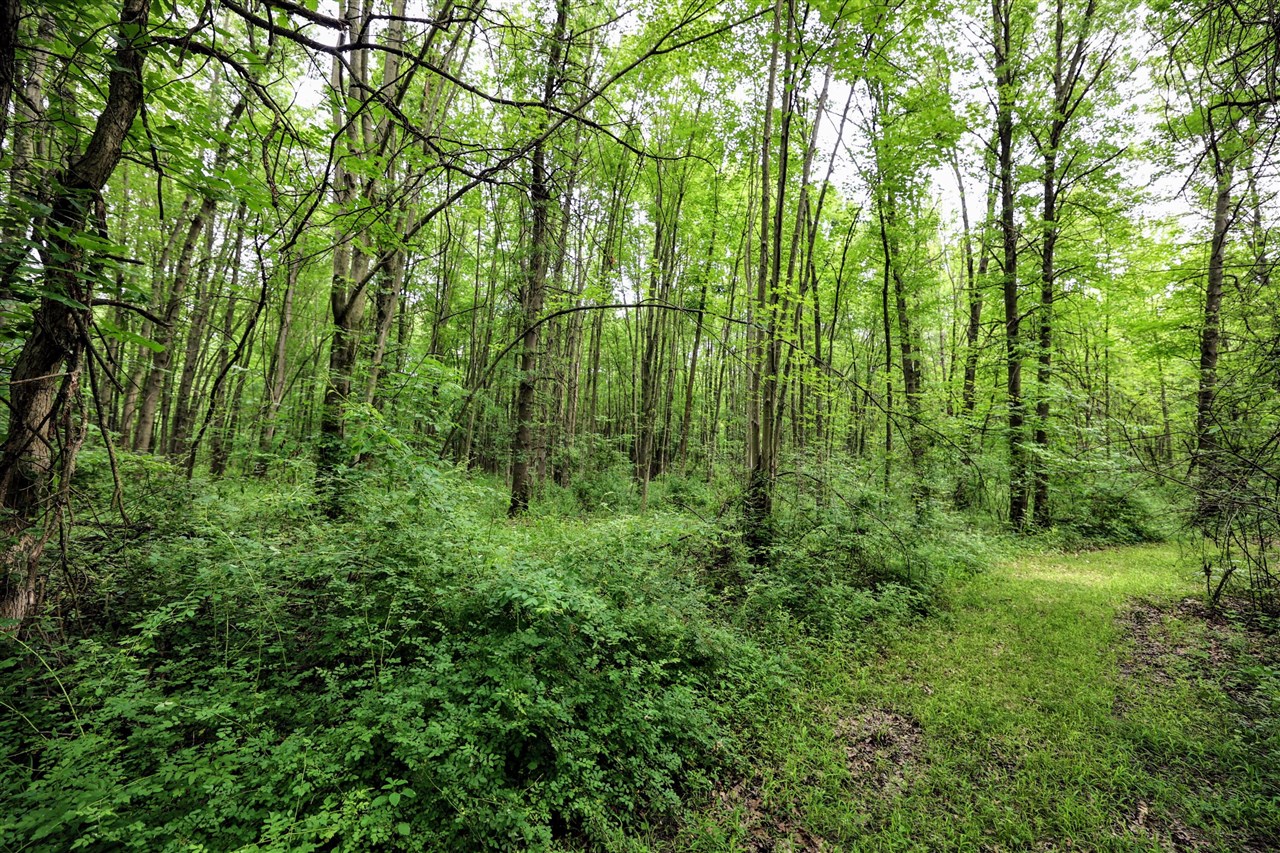 27015 50th St, Bangor, MI, 49013