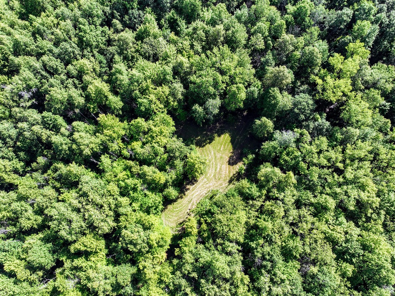 27015 50th St, Bangor, MI, 49013