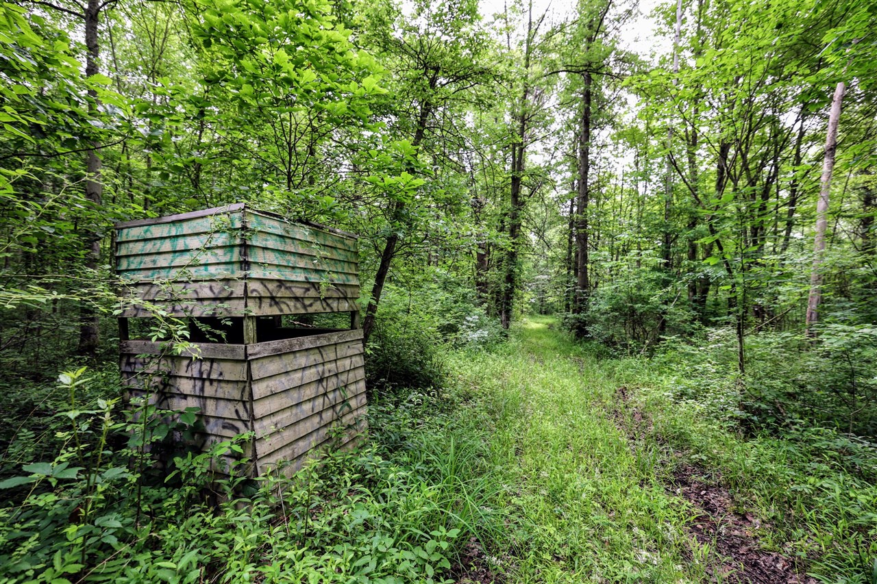 27015 50th St, Bangor, MI, 49013