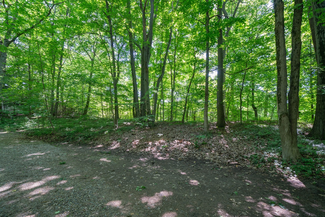 VL Ramblewood Circle, Covert, MI, 49043