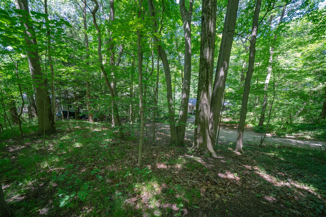 VL Ramblewood Circle, Covert, MI, 49043