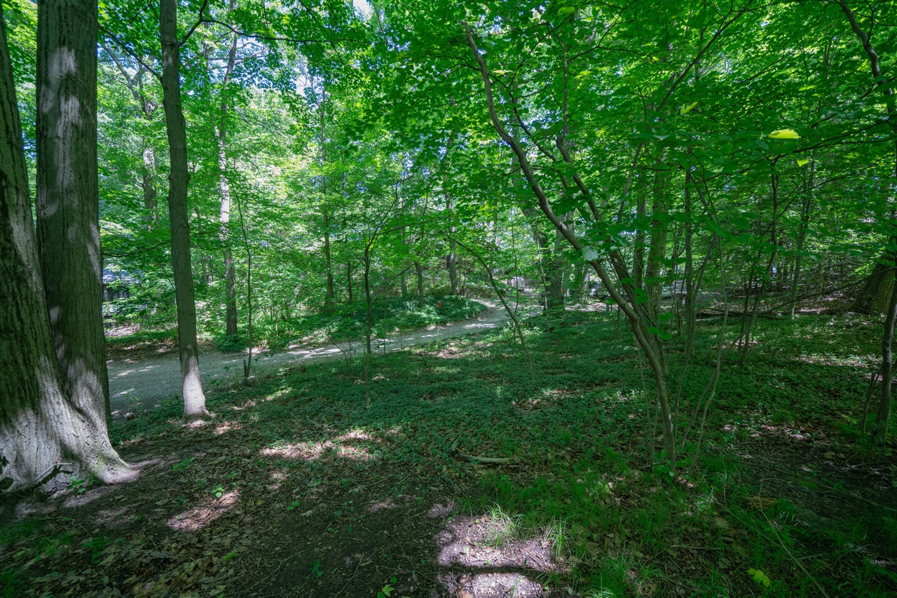 VL Ramblewood Circle, Covert, MI, 49043