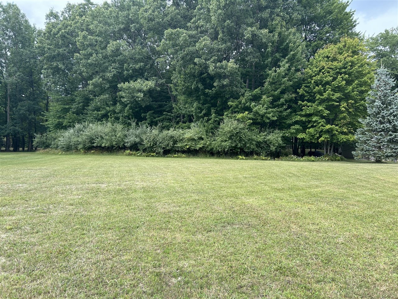 9523 Fawn Ridge Road photo 6