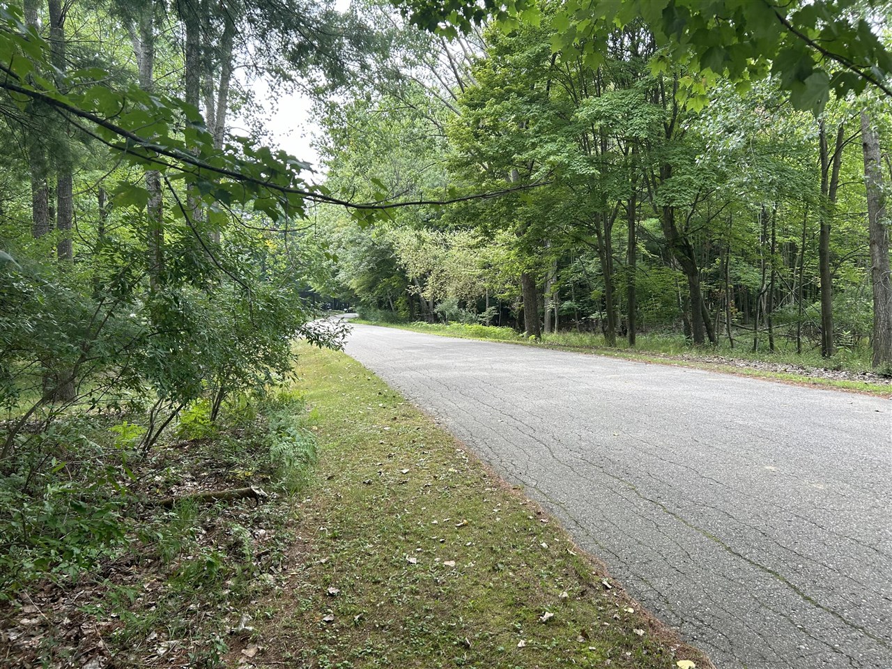9523 Fawn Ridge Road photo 9