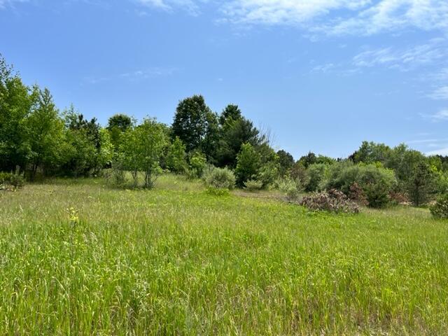 0 Linderman Road, Bear Lake, MI, 49614