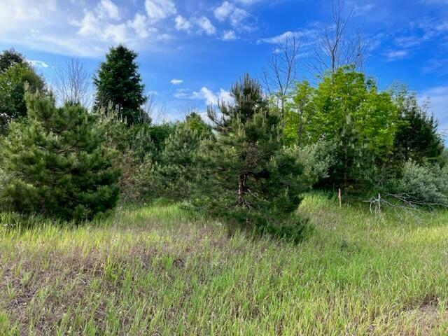 0 Linderman Road, Bear Lake, MI, 49614