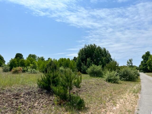 0 Linderman Road, Bear Lake, MI, 49614