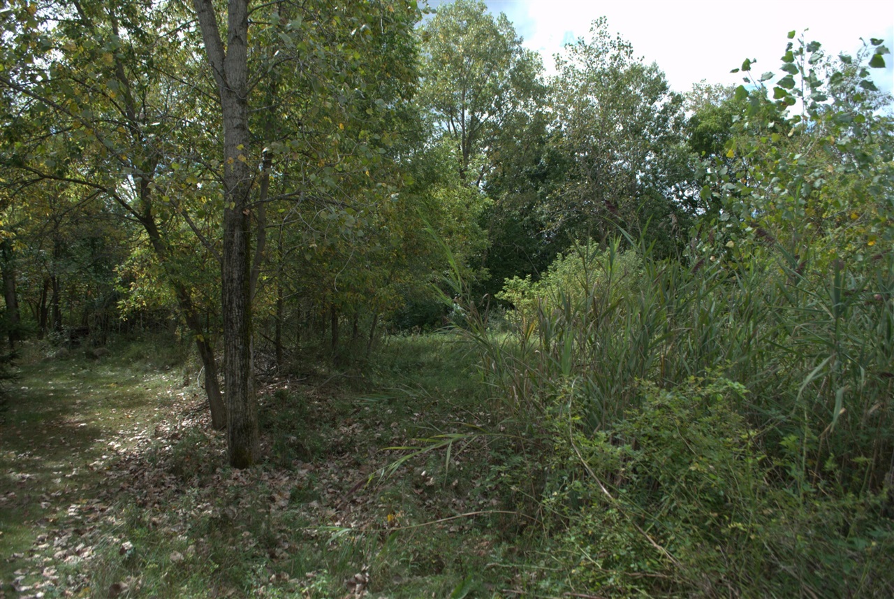 3847 Lake Vista Drive, Dexter, MI, 48130-8404