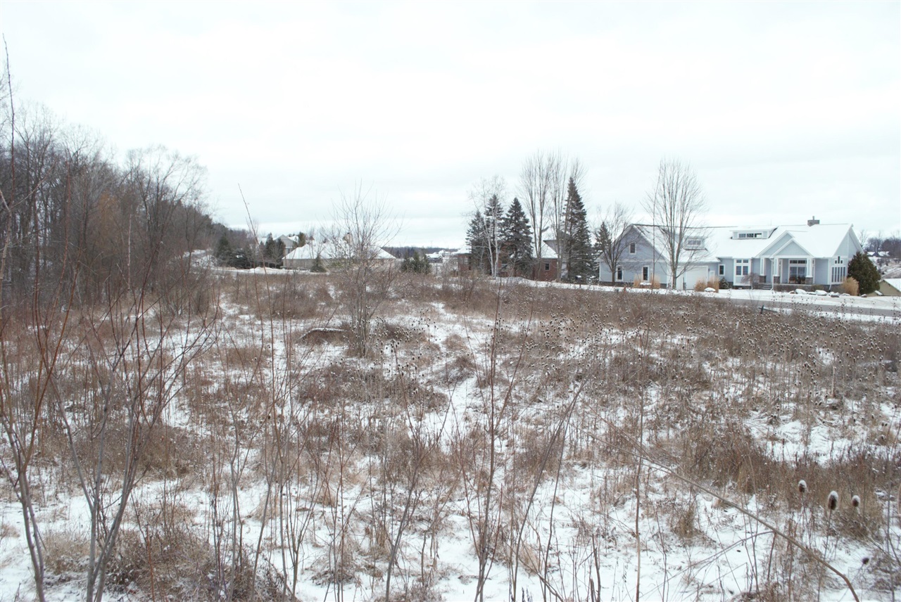 3847 Lake Vista Drive, Dexter, MI, 48130-8404