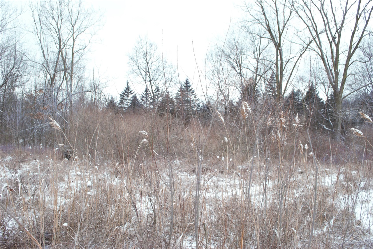 3847 Lake Vista Drive, Dexter, MI, 48130-8404