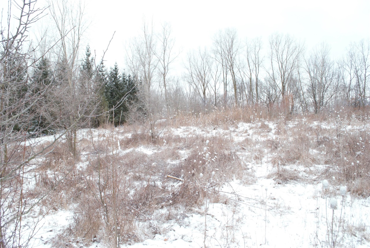 3847 Lake Vista Drive, Dexter, MI, 48130-8404