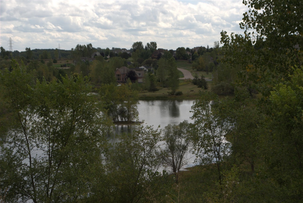 3847 Lake Vista Drive, Dexter, MI, 48130-8404